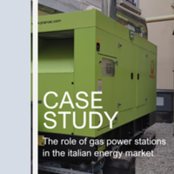 The role of gas power stations in the italian energy market (
    
                    
    0.4 MB
)